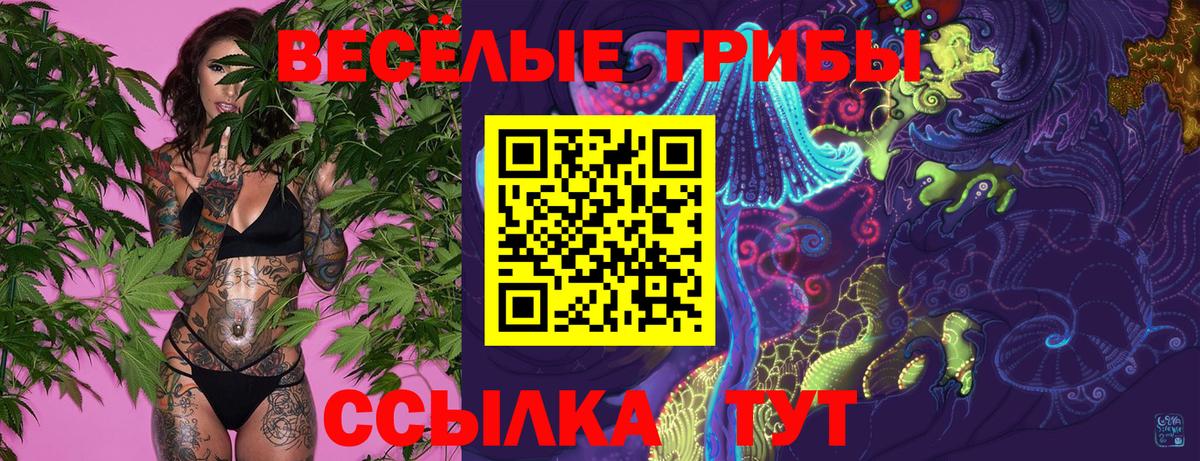 Галлюциногенные грибы Psilocybe  Галлюциногенные грибы ЛСД  Вход с VPN  Славгород 